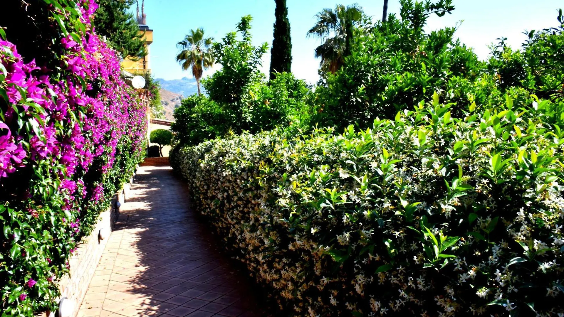 Taormina Ibiscus Apartment By Taormina Holidays איטליה